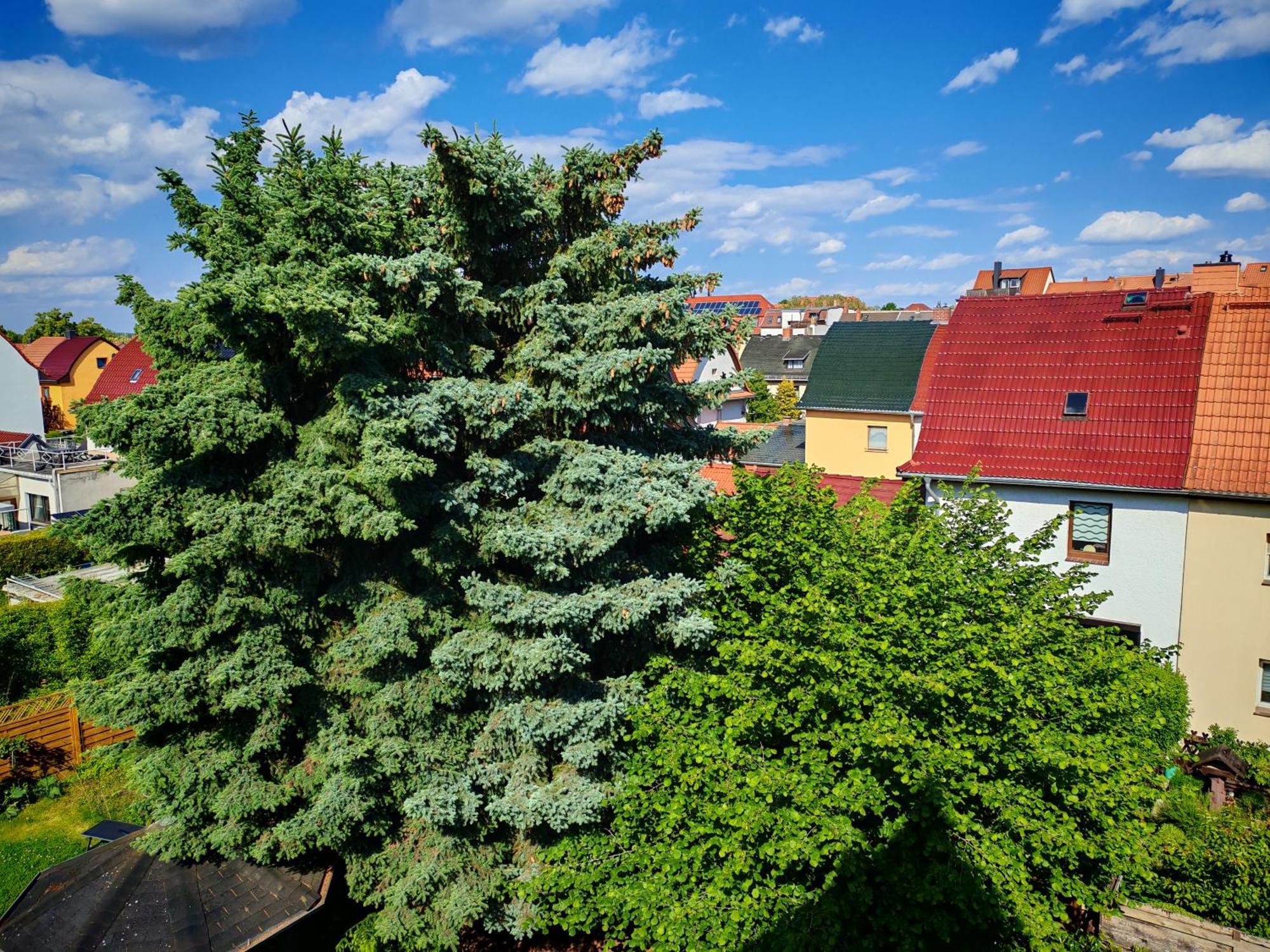 Domstadt Apartments Merseburg Exteriér fotografie